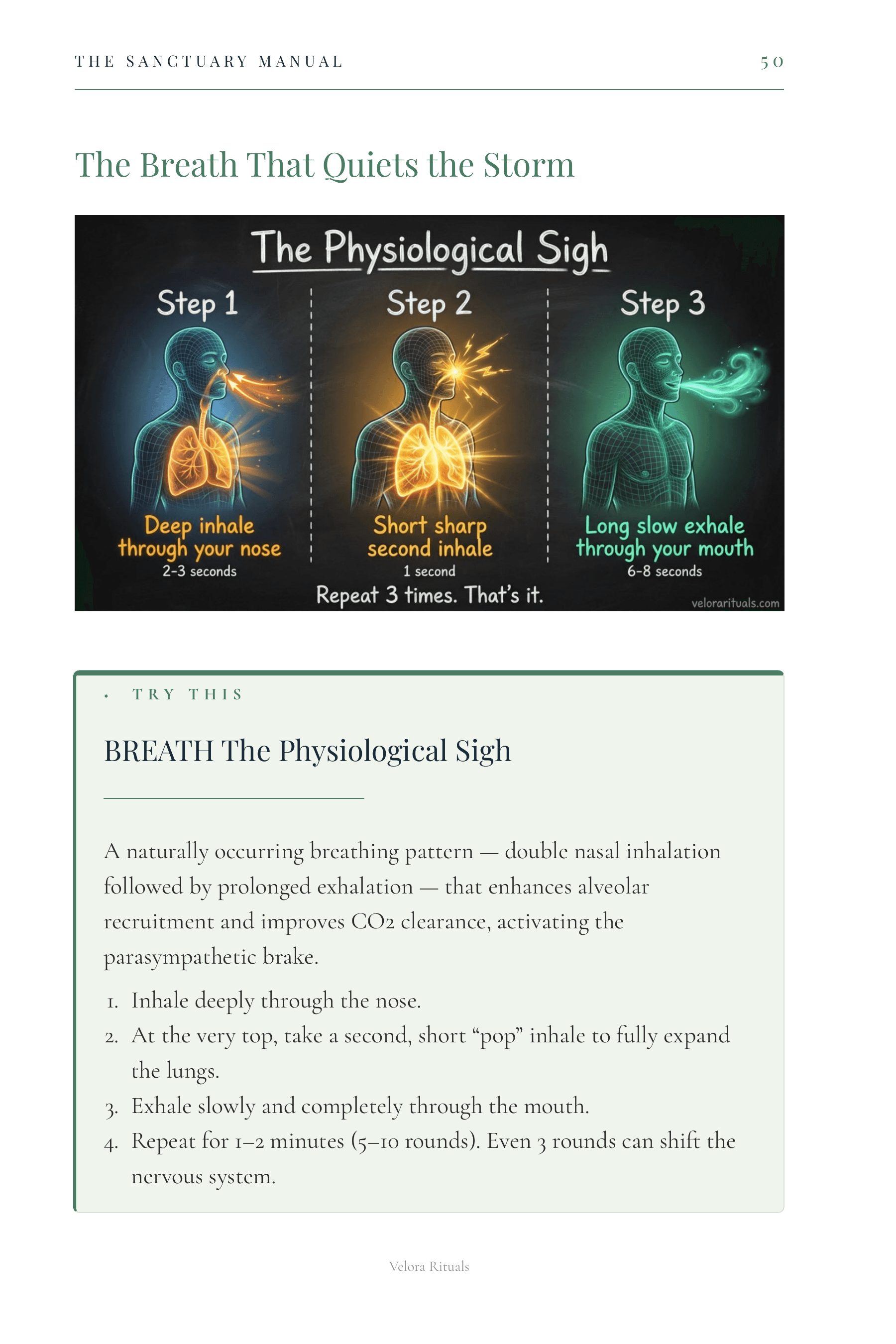 The Breath That Quiets the Storm page with a three-step physiological sigh wireframe