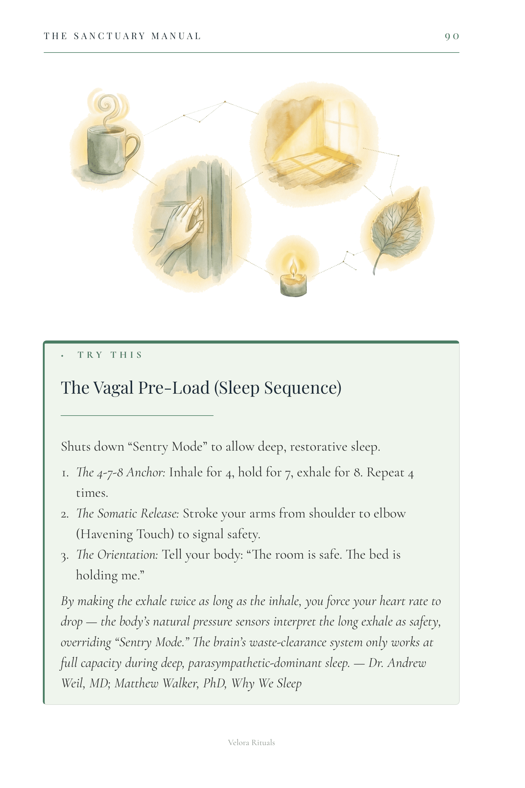 Glimmer watercolor constellation and Vagal Pre-Load sleep sequence page